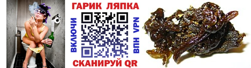 ГАШ Изолятор Емва