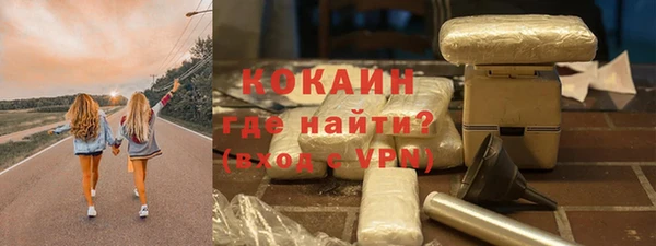 гидра Гусев