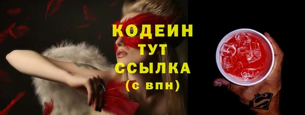 гидра Гусев