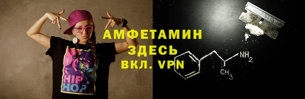гидра Гусев
