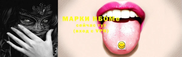 гидра Гусев