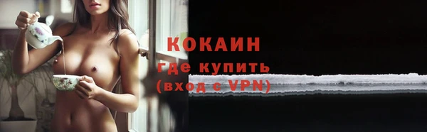 гидра Гусев