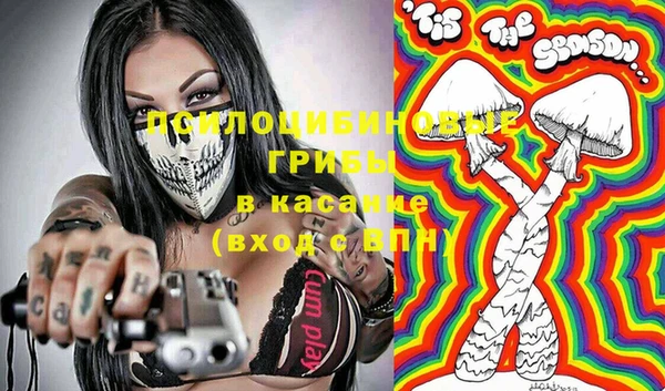 a pvp Гусиноозёрск