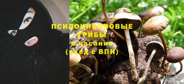 гидра Гусев