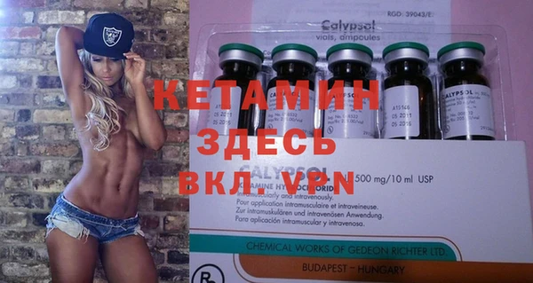 гидра Гусев