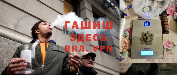 гидра Гусев